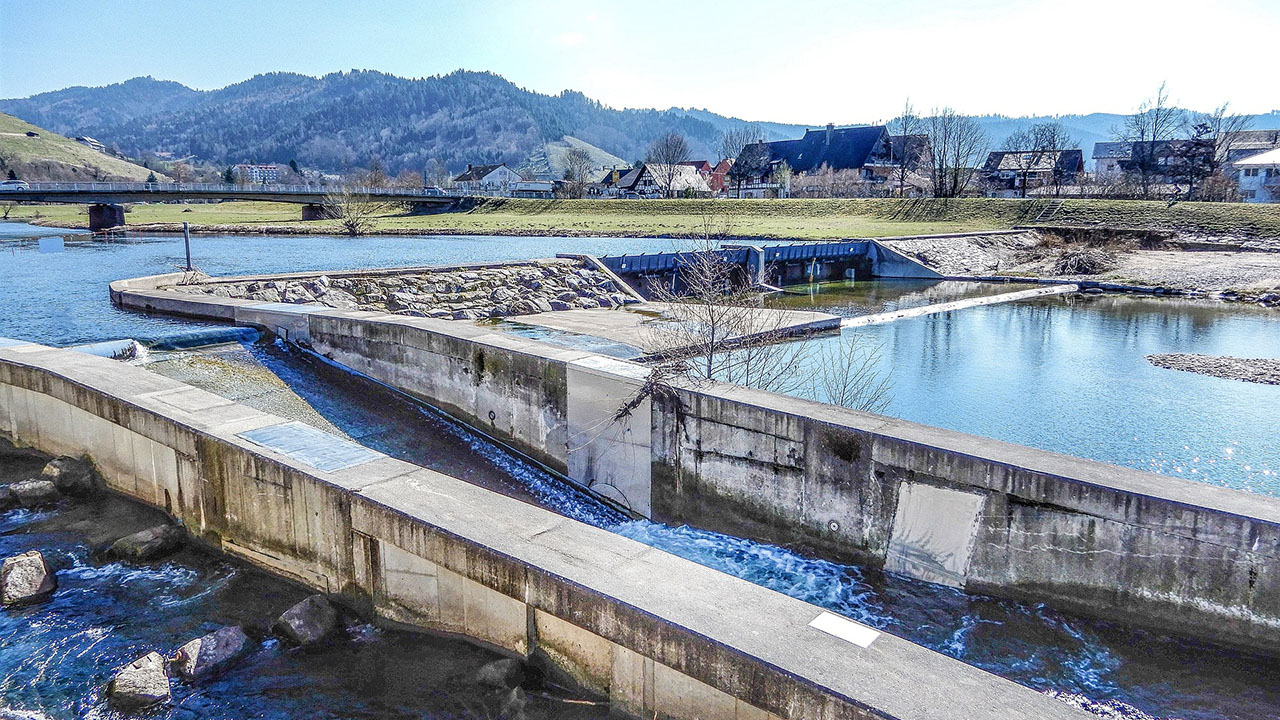 Water management system
